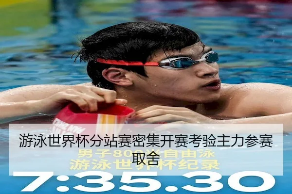 游泳世界杯分站赛密集开赛考验主力参赛取舍